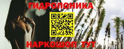 стаф Ефремов