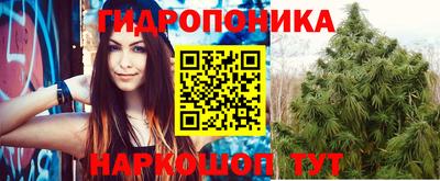 стаф Ефремов